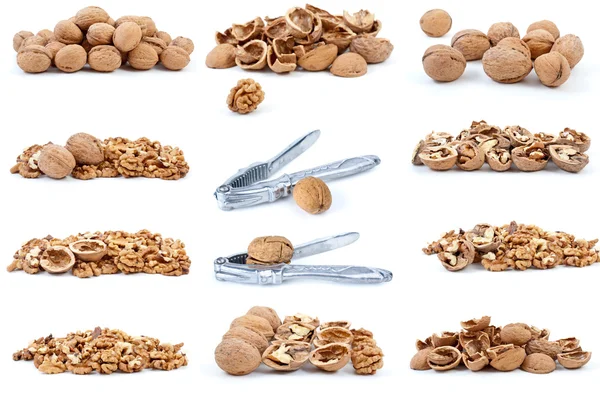 Set of walnuts — Stock Photo, Image