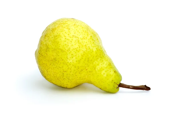 Ležící žluto zelená hruška — Stock fotografie