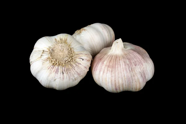 Drie garlics — Stockfoto