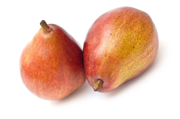 Red pear Stockbild
