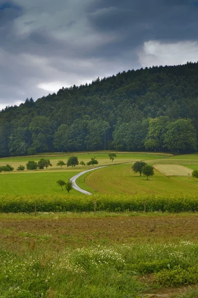 dağ harz