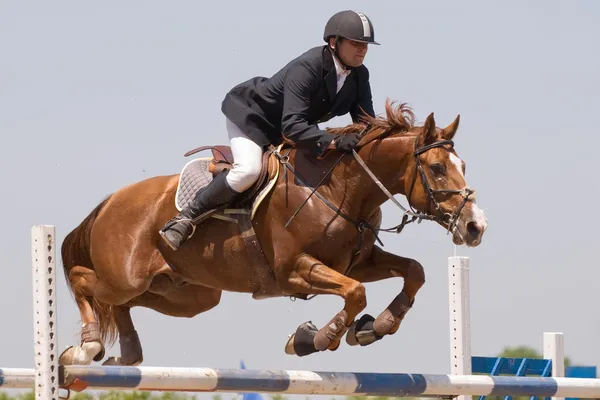 Espectáculo de salto de caballo — Foto de Stock