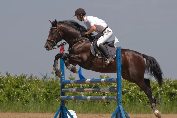 Salto a cavallo spettacolo — Foto Stock