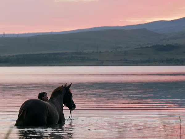 Άλογο κάστανο και το κορίτσι στο νερό — Φωτογραφία Αρχείου