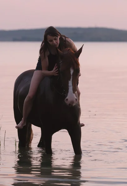 Cavalo de castanha e a menina na água — Fotografia de Stock