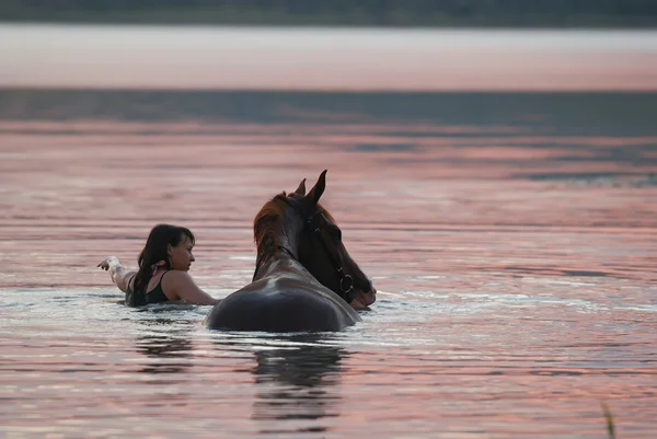 Cavallo di castagno e la ragazza in acqua — Foto Stock