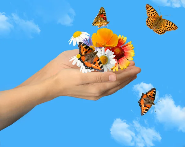 Händer med fjärilar — Stockfoto