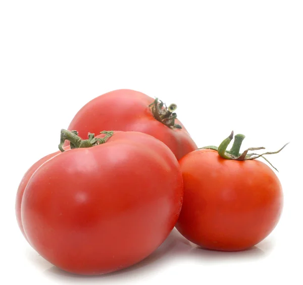 stock image Tomatoes