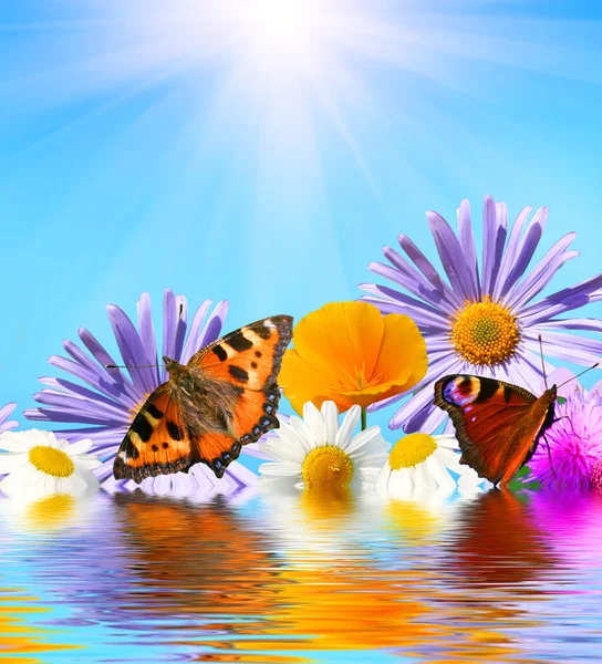 Blumen und Schmetterlinge — Stockfoto