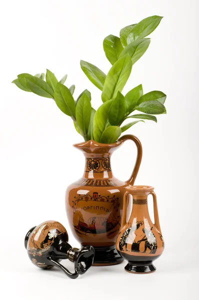 Amphora ile yeşil dala — Stok fotoğraf