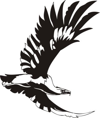 Vector eagle clipart