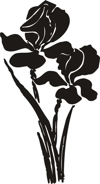 Plant of flower — Stock Vector
