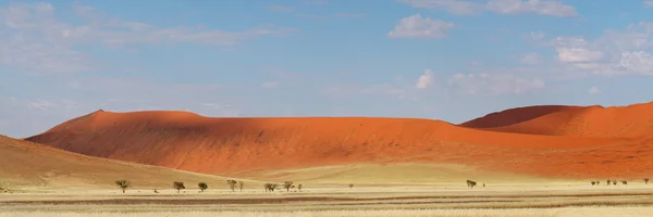 Pouštní duny panorama — Stock fotografie