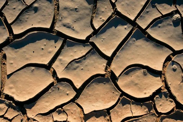 Cracked mud — Stock Photo, Image