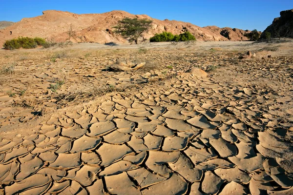 Vyschlé koryto řeky, Namibská poušť — Stock fotografie