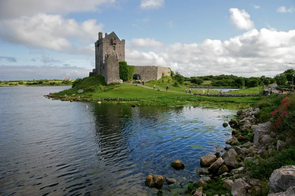 : Dunguaire castle. Irlandia — Zdjęcie stockowe