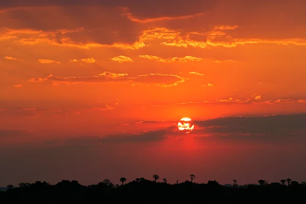 Zachód słońca pustyni — Zdjęcie stockowe