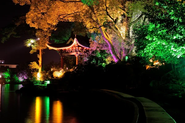 Иллюминированное дерево, Гуйлинь, Китай — стоковое фото