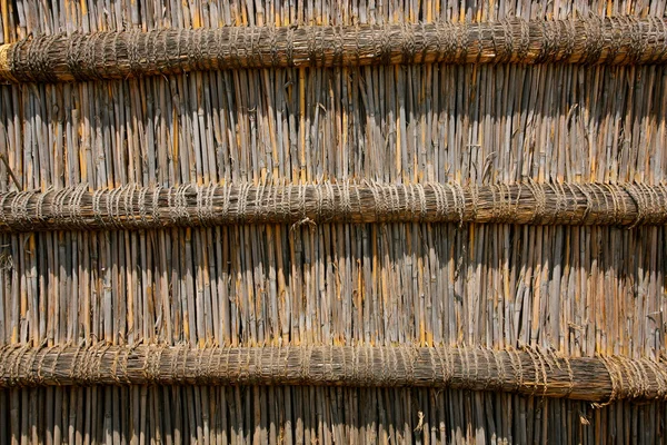 Reed wall background — Stock Photo, Image