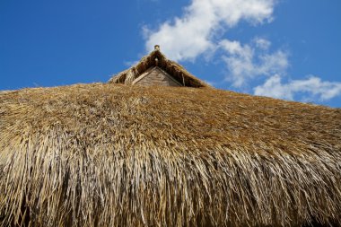 Thatched roof clipart