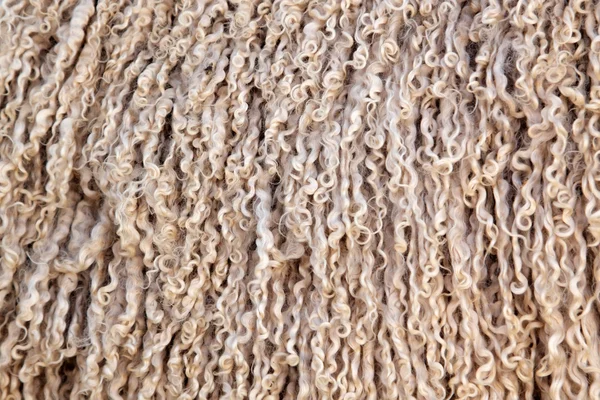 Angora goat wool background — Stock Photo, Image