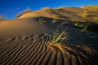 çim ve dune