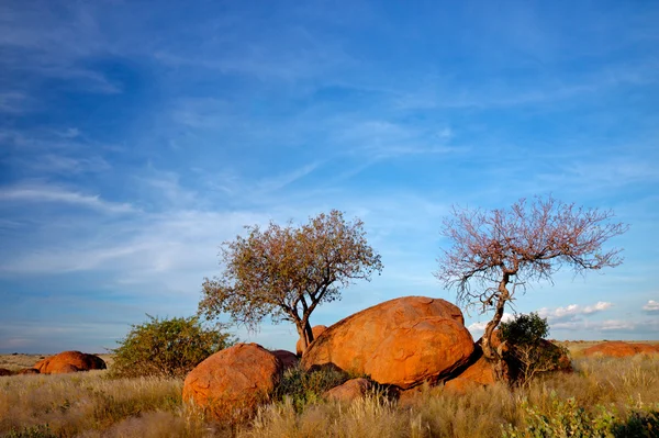 Granit kayalar ve ağaçlar — Stok fotoğraf