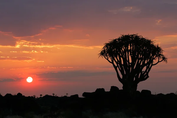 Desierto puesta de sol — Foto de Stock