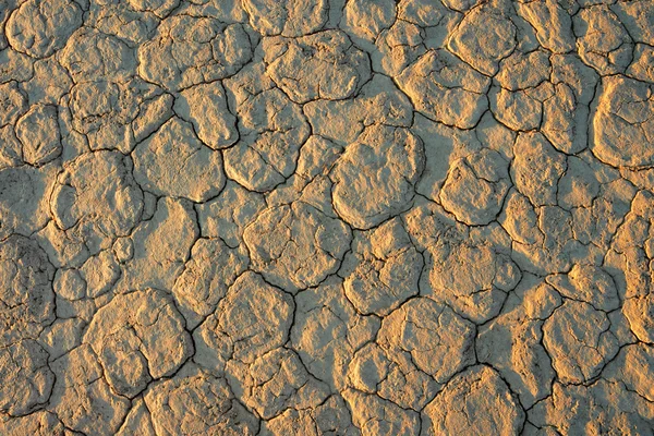 Cracked mud — Stock Photo, Image