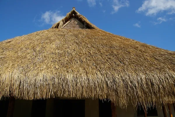 Thatched çatı — Stok fotoğraf