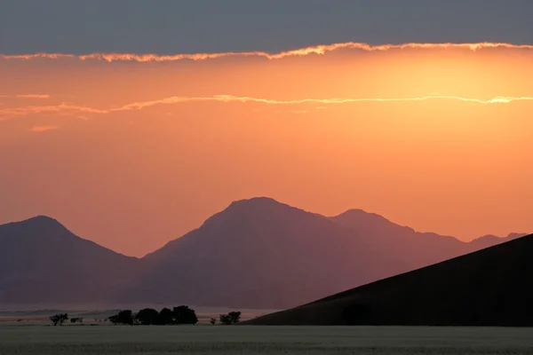 Woestijn zonsopgang — Stockfoto