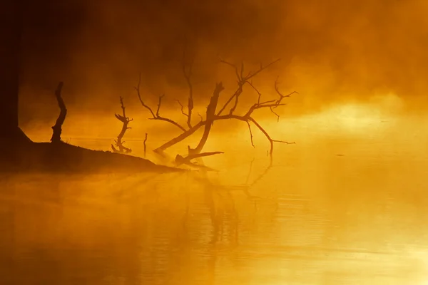 Víz felett köd — Stock Fotó