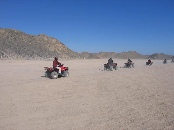 stock image Quadrocycles in the desert