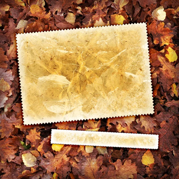 Vintage autumn textured background — Stock Photo, Image