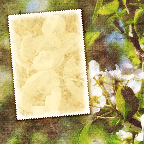 Vintage spring background — Stock Photo, Image
