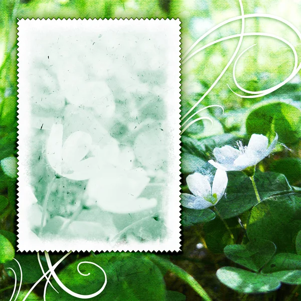 Vintage flowers textured background — Stock Photo, Image