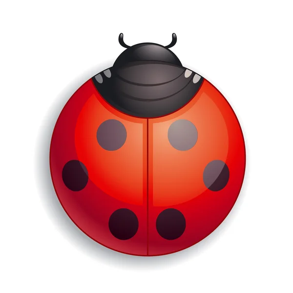 Lieveheersbeestje-pictogram — Stockvector