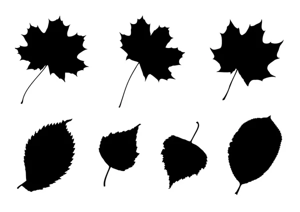 Leaves Silhouettes Set — Stock Vector