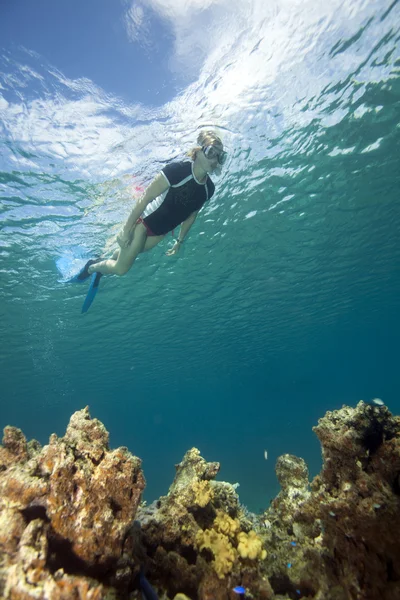 Attractive woman snorkeling underwater — Stock Photo © ajalbert #2582282