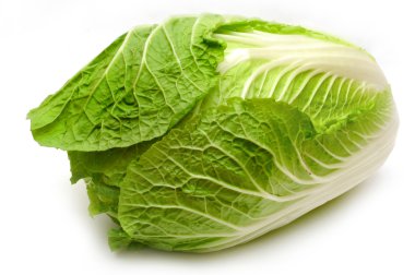 Lettuce clipart