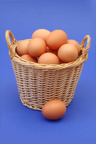 Eggs in the basket — Stock Photo, Image