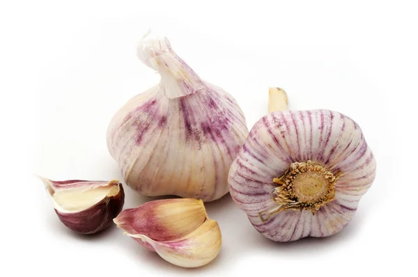 stock image Fresh garlic