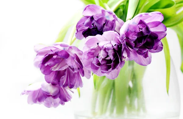 Tulips bouquet in vase — Stock Photo, Image