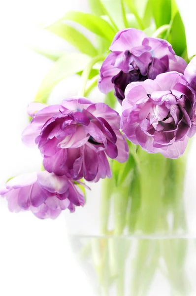Bouquet di tulipani in vaso — Foto Stock