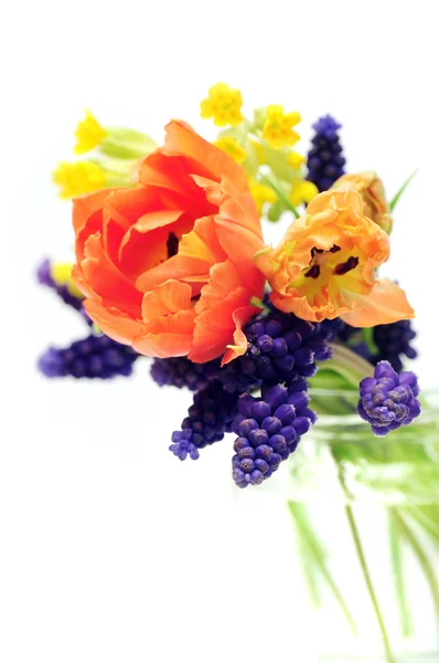 Spring flowers bouquet — Stock Photo, Image