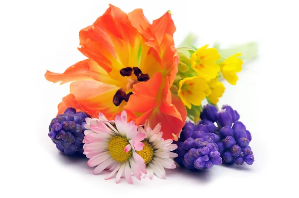 Spring flowers bouquet — Stock Photo, Image