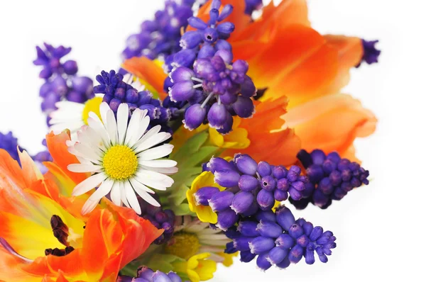 Bouquet di fiori primaverili — Foto Stock