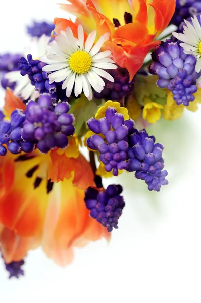 Bouquet di primavera — Foto Stock