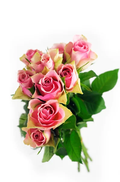 粉色玫瑰花束 — 图库照片