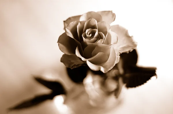 Роза в сепі тоні — стокове фото